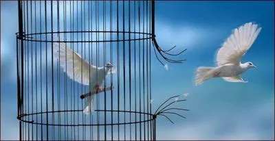 Le prisonnier m'attend impatiemment.