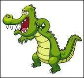De quelle couleur est ce crocodile ?