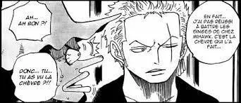 Que dit Zoro à Usopp quand il lui demande s'il a vu la chèvre ?