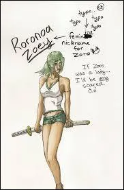 Qu'arrive-t-il à Zoro ?