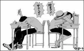 Que font Ace et Luffy ?