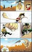 Que fait Zoro pour dévier l'attaque de Luffy ?
