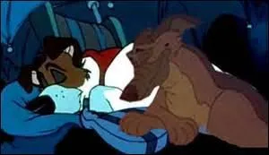 Lequel de ces chiens est un berger allemand ?