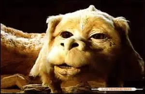 Vrai ou faux ? Falkor est un chien avec une tête de dragon.