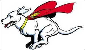 Quelle est la race de Krypto dans "Krypto the superdog" ?