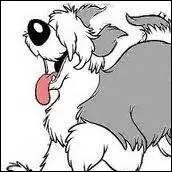 Comment se nomme le chien gris et blanc du prince Eric dans "The little mermaid" ?