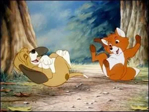 Dans "Rox et Rouky", qui est un chien ?