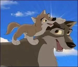 Cet husky sibérien transporte un sérum contre la diphtérie. Ce dessin animé se base sur la réelle histoire du chien...