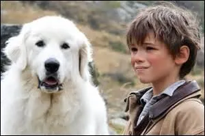 Ce dessin animé s'inspire du roman de Cécile Aubry. Il s'agit de l'histoire de Sébastien et ...