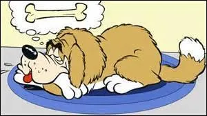 Quel est le nom du Saint-Bernard appartenant à Donald Duck ?