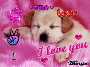 Quiz Chiens