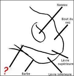 Comment se nomme la partie indiquée sur la photo ?