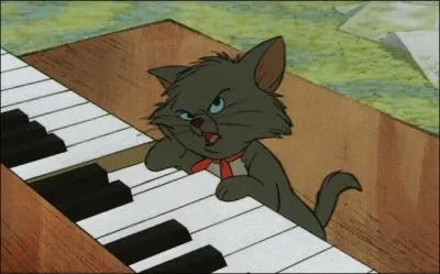 Quel est le nom de ce chat ?