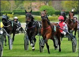 Est-ce que les courses de galop attelé se disputent sur une distance de 1500 à 4500 mètres ?