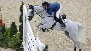 Qu'est-ce qui vous permet de mieux contrôler un obstacle lorsqu'il est équipé "d'oreilles" ?