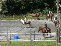 Si le cheval qui vous précède ne galope pas assez vite, pouvez-vous le doubler en extérieur ?