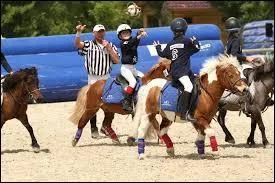 Quelle est la disciplines dans laquelle les cavaliers utilisent un ballon ?