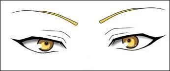 A qui sont ces yeux ?