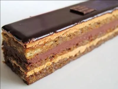 Donnez-moi le nom de ce gâteau 100% chocolat : il est à base de chocolat et de noisettes, glacé au chocolat, et fourré au café et à la crème au chocolat !