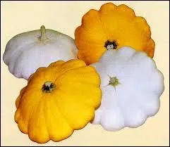 Ces ......... originaux sont des pâtissons. Sont-ils des fruits ou des légumes ?