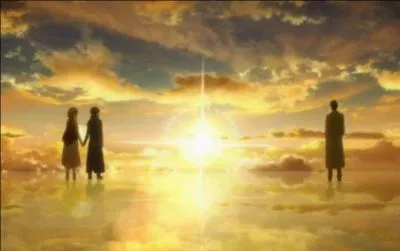 Qui a fini le jeu 'Sword Art Online' ?