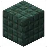 Quel est le nom exact de ce bloc ?