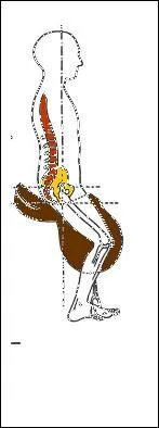 Qu'est-ce que l'assiette ? (plusieurs réponses possibles)