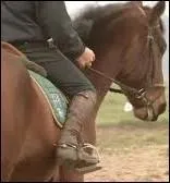 Qu'est-ce que la jambe isolée ?