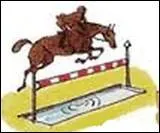 Comment se nomme cet obstacle ?