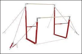 Quel est cet agrès ?