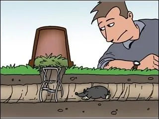 Un douar est un regroupement de maisons dans la région de Douarnenez.