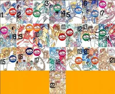 Quels sont les numéros des tomes où Ikki est présent sur les couvertures ?