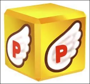 À quoi sert l'aile avec un "P" à l'intérieur ?