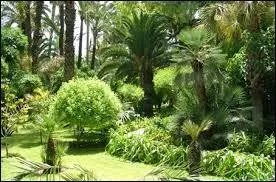 A côté de quel palais se trouvent les jardins d'Agdal conçus au XIIe siècle ?