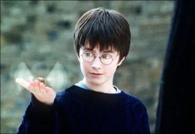 Une scène nous montre Harry en train de jouer sous des escaliers. Avec quel objet s'amuse-t-il ?