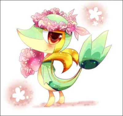 Ho, le Pokémon évolue ! Oui, mais en quoi ?