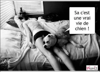 Désolé si je vous vieillis, mais admettons que vous ayez 80 ans. Combien de temps avez-vous passés, au lit, à dormir ?