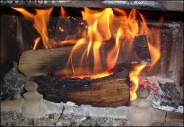 En septembre, quand tu entends la grive chanter, cherche la maison pour t'abriter ou ... !