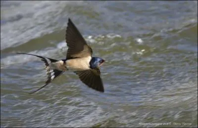 Du premier au huit, ... !