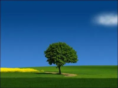 En septembre, il fait bon être tout le jour ... !