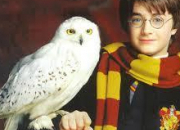Quiz Les cratures magiques d'Harry Potter