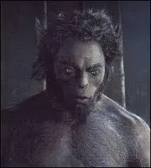 Quelles sont les particularités des centaures ?