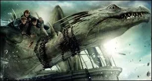 Quelle proposition n'est pas une espèce de dragon ?