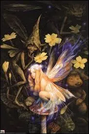 Dans quel film voit-on des fées ?