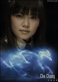 Dans les films, quelles différentes formes de Patronus avons-nous pu voir ?