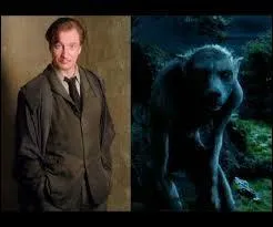 Quels personnages sont des Animagus comme Remus Lupin ?