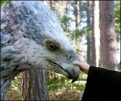 Que faut-il faire pour gagner la confiance d'un hippogriffe ?