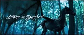 Quels élèves de Poudlard peuvent-ils voir les Sombrals ?