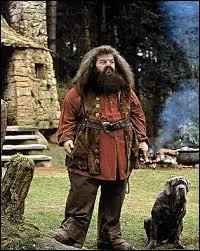 De quelles créatures s'est occupé Hagrid ?