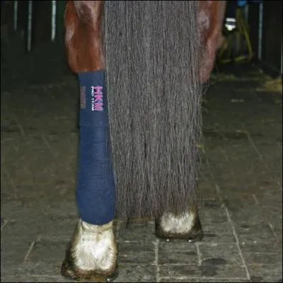 Les bandes de repos servent :